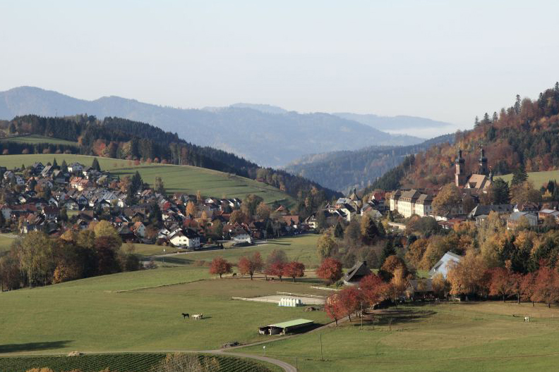 Blick auf den Ortskern von St. Peter mit Klosteranlage. 